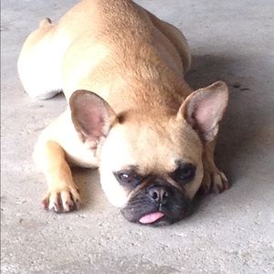 Meet your Posher, Daniel